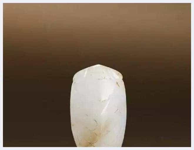 奇形怪状俏金蝉,吃知了挺好,看知了也不错_第2张
