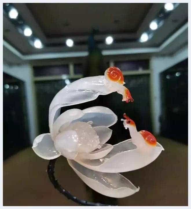 奇形怪状俏金蝉,吃知了挺好,看知了也不错_第10张