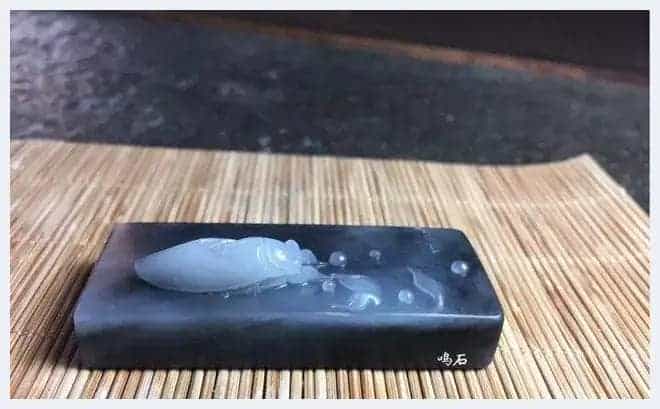 奇形怪状俏金蝉,吃知了挺好,看知了也不错_第32张