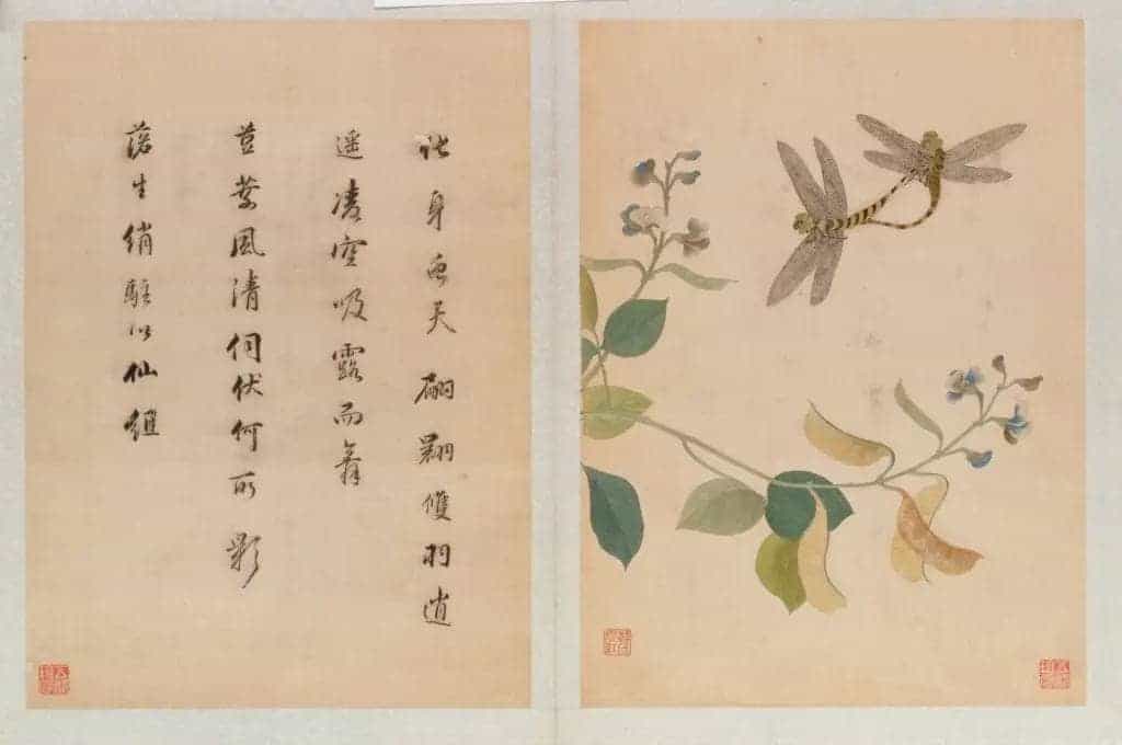 《韩希孟宋元名迹册·扁豆蜻蜓图》 - 故宫织绣类藏品_第1张