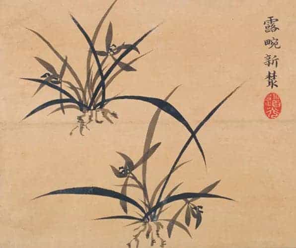 旻宁《灵芝兰花图》册 - 故宫绘画藏品_第1张