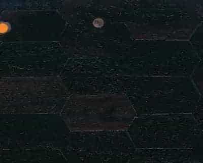 “峨嵋松”琴 - 故宫音乐戏曲类藏品_第4张