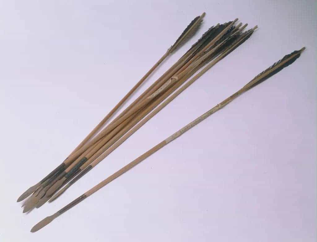 铁镞白挡索伦长鈚箭 - 故宫武备仪仗类藏品_第1张