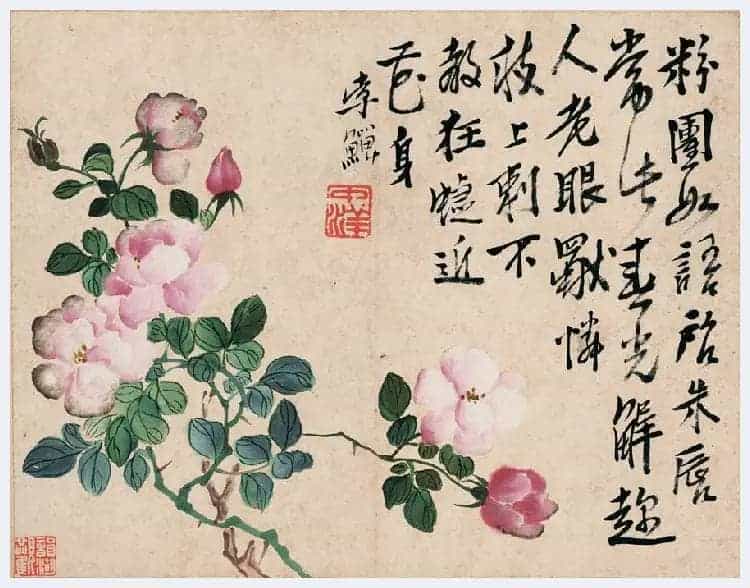 李鱓花鸟册页欣赏_第21张