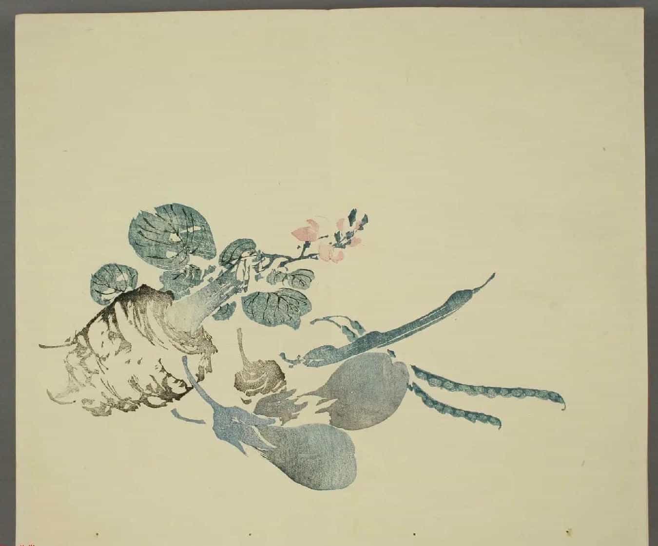 日本竹洞花鸟画欣赏《融斋画谱》_第17张