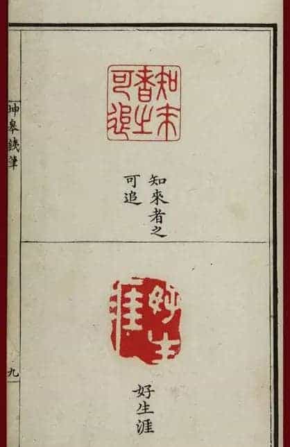 清代鞠履厚篆刻艺术珍品《坤皋铁笔》_第14张