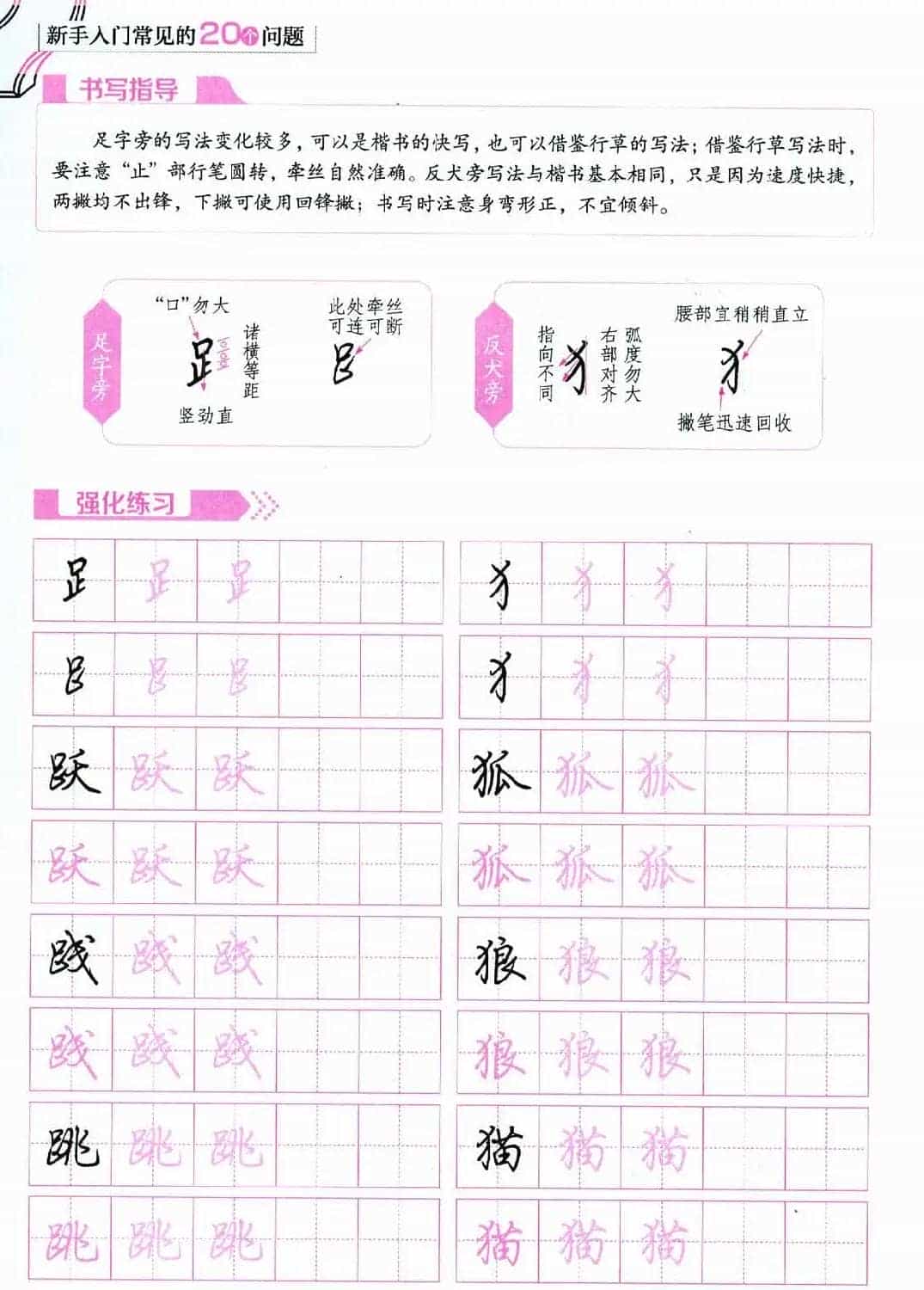 荆霄鹏硬笔行楷字帖《新手入门常见的20个问题》_第29张
