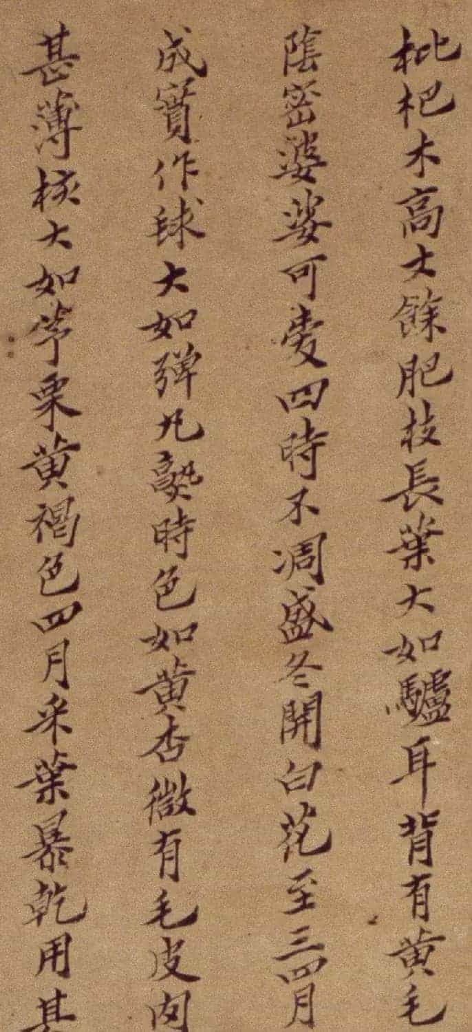 周淑禧、周淑祜两姐妹小楷《本草图》四条屏_第9张