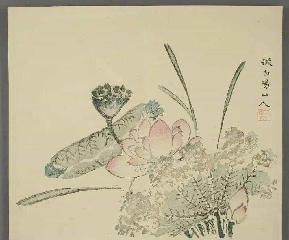 日本竹洞花鸟画欣赏《融斋画谱》_第19张