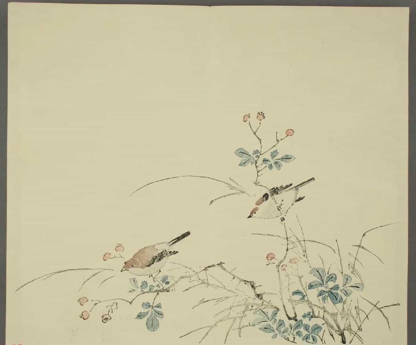 日本竹洞花鸟画欣赏《融斋画谱》_第11张