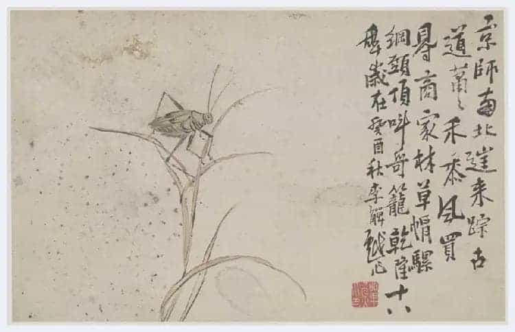 李鱓花鸟册页欣赏_第28张