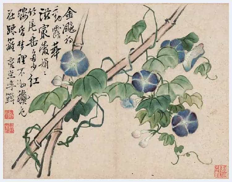 李鱓花鸟册页欣赏_第19张