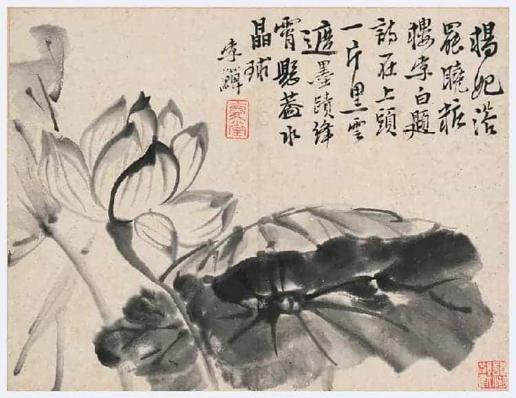 李鱓花鸟册页欣赏_第13张