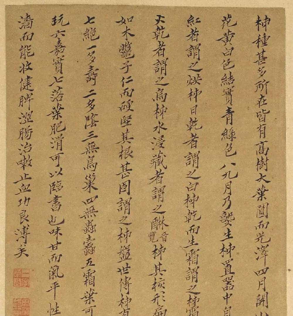 周淑禧、周淑祜两姐妹小楷《本草图》四条屏_第11张