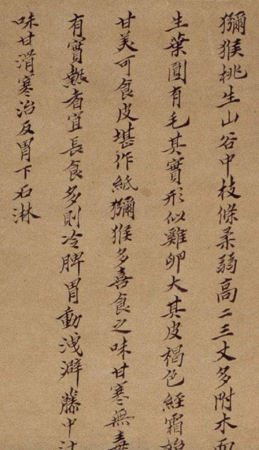 周淑禧、周淑祜两姐妹小楷《本草图》四条屏_第6张