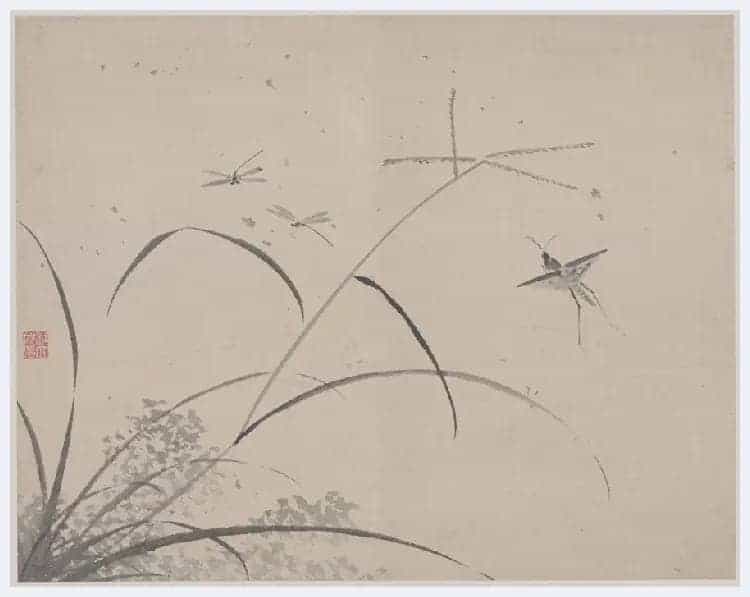杜大成《花卉草虫图册》图赏_第5张