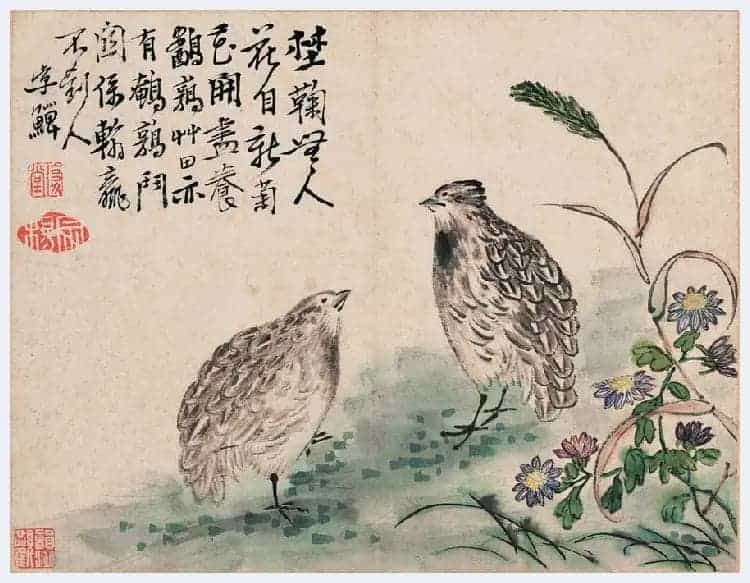 李鱓花鸟册页欣赏_第20张