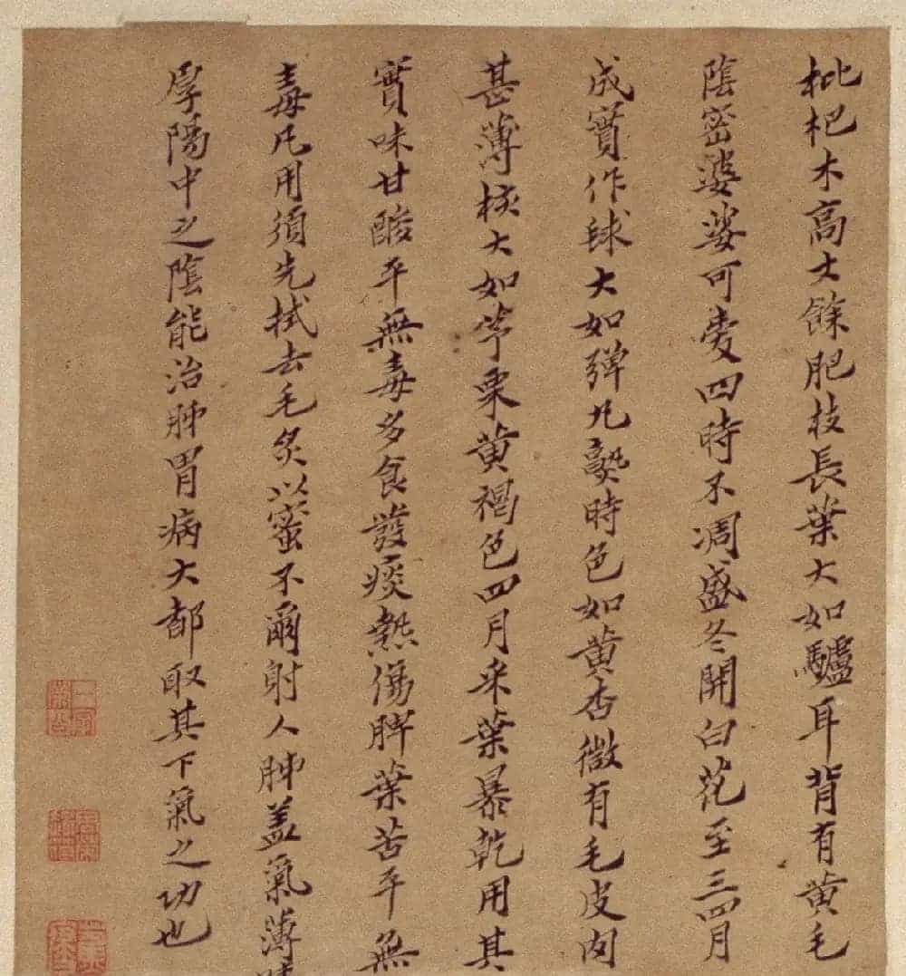 周淑禧、周淑祜两姐妹小楷《本草图》四条屏_第7张