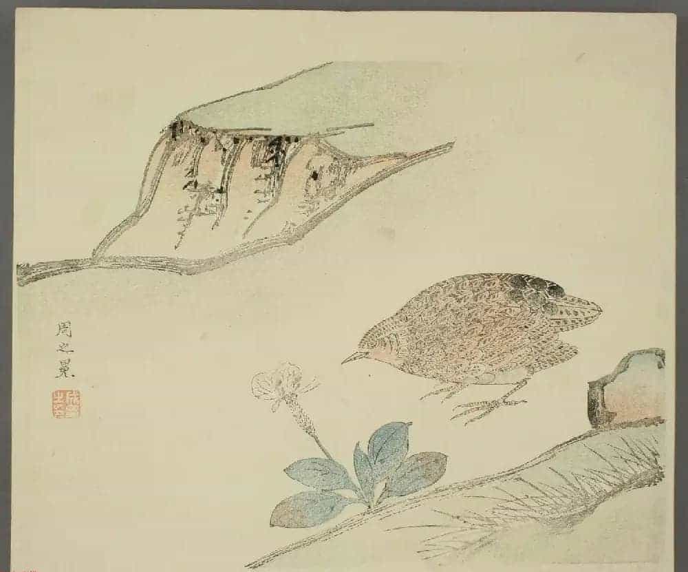 日本竹洞花鸟画欣赏《融斋画谱》_第6张