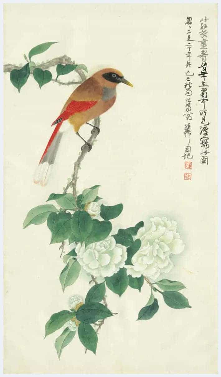 谢稚柳作品欣赏_第31张