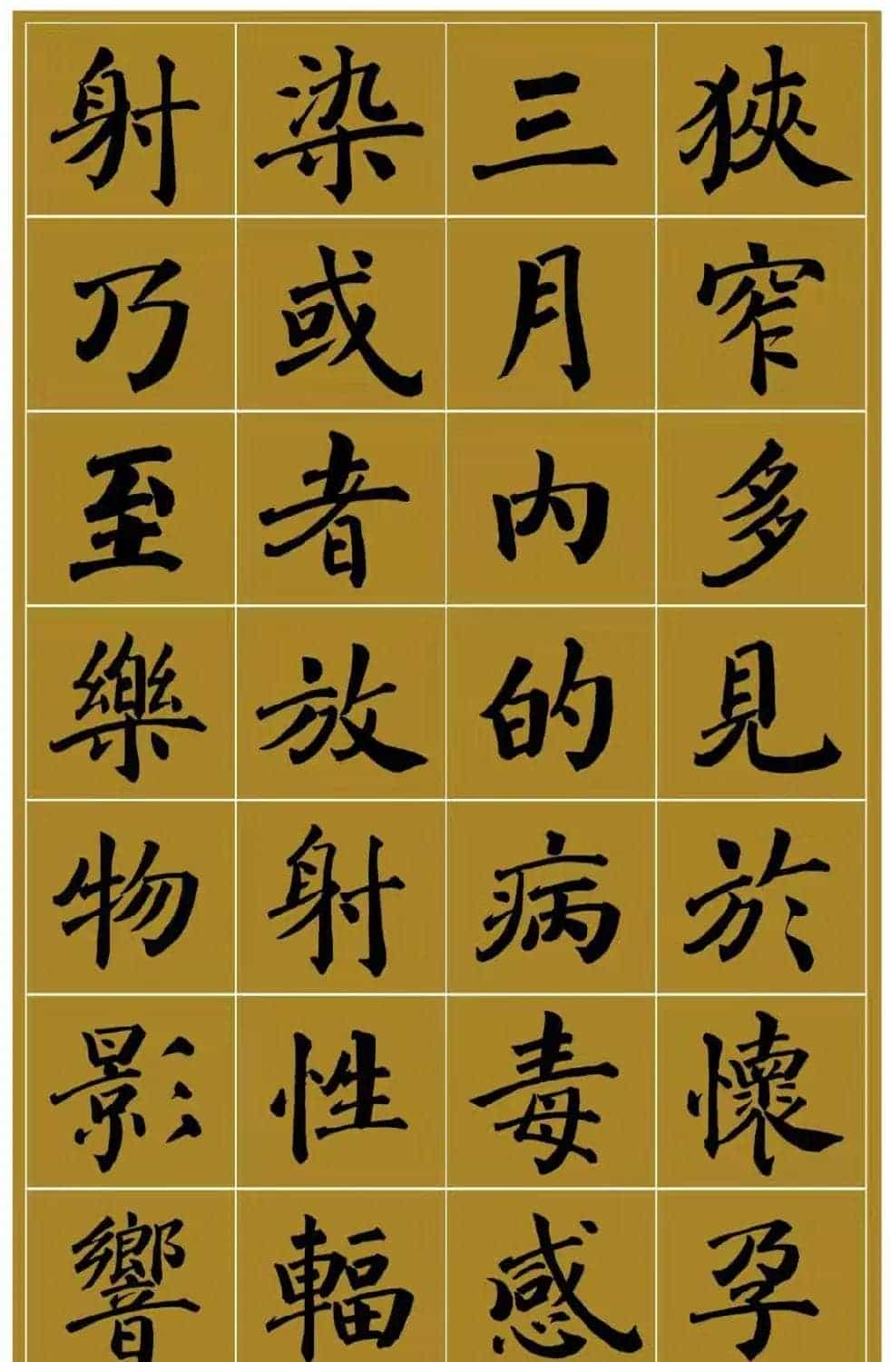 范笑歌楷书《中国少儿先心病基金宣讲辞》_第2张