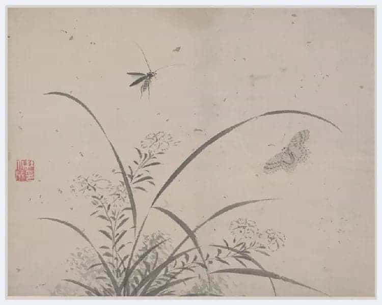 杜大成《花卉草虫图册》图赏_第8张