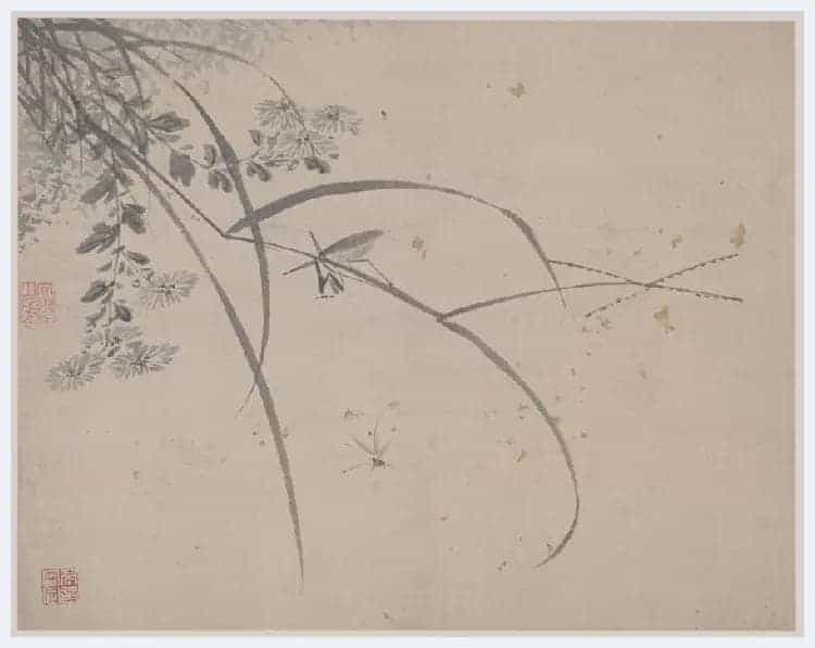 杜大成《花卉草虫图册》图赏_第3张