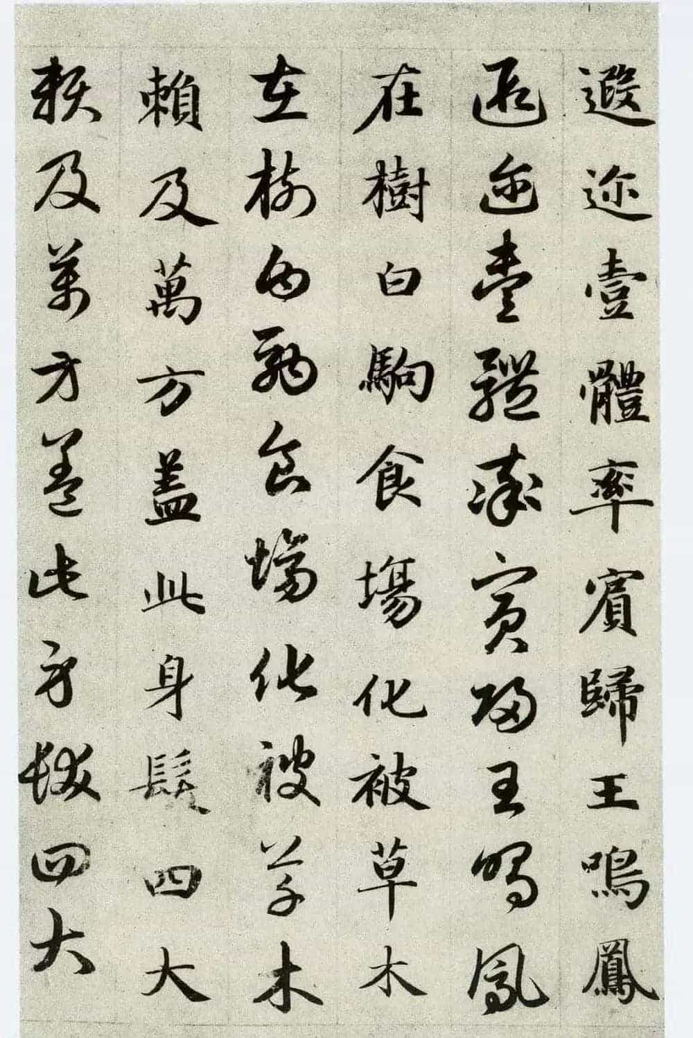 中国碑帖经典《赵孟頫真草千字文》_第7张