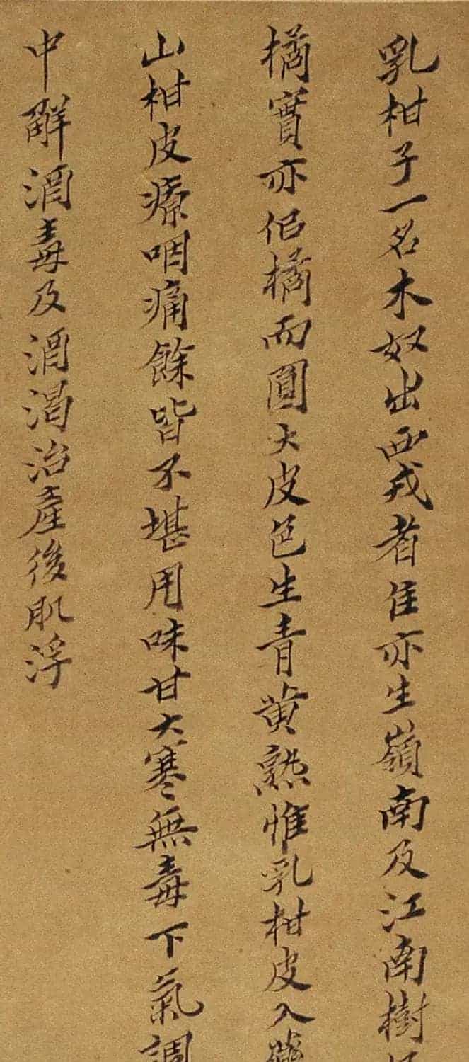 周淑禧、周淑祜两姐妹小楷《本草图》四条屏_第3张