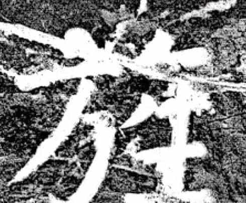 唐代颜真卿69岁楷书《西亭记》残碑_第31张