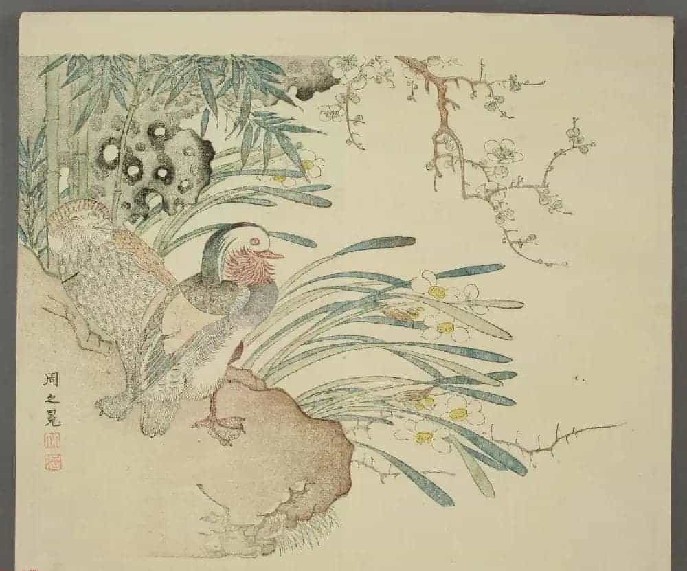 日本竹洞花鸟画欣赏《融斋画谱》_第4张