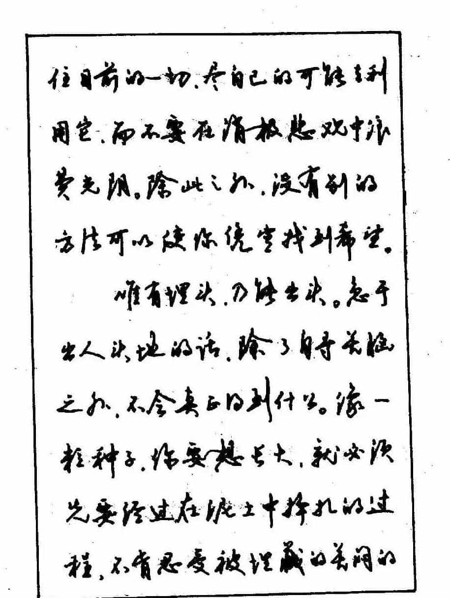 沈鸿根钢笔行书字帖欣赏_第98张