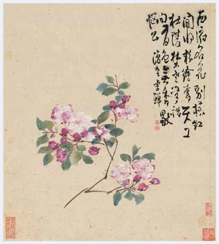李鱓花鸟册页欣赏_第8张