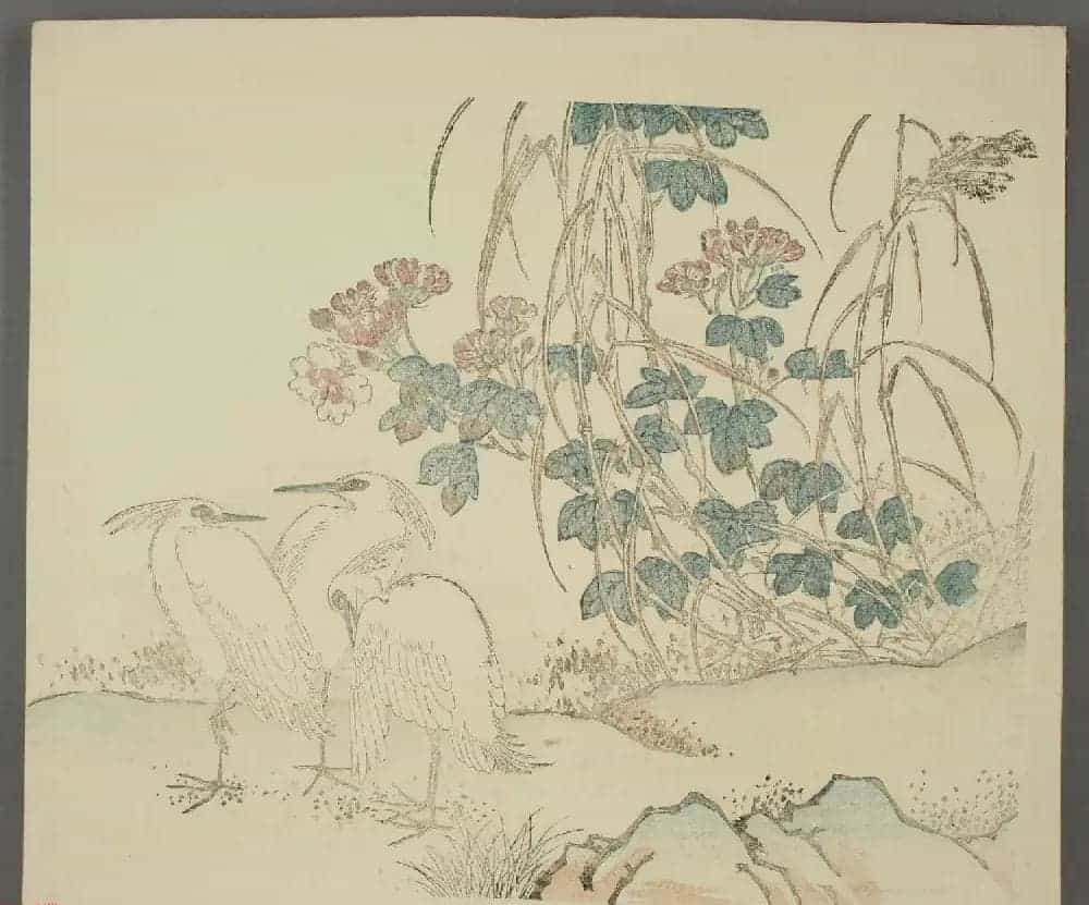 日本竹洞花鸟画欣赏《融斋画谱》_第5张