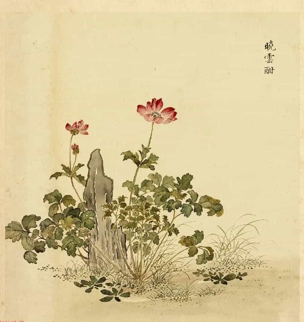 传世字画册页《海西杂卉》余省绘画+于敏中书法_第5张