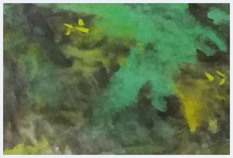 刘海粟国画《泼彩黄山》九上黄山代表作_第4张