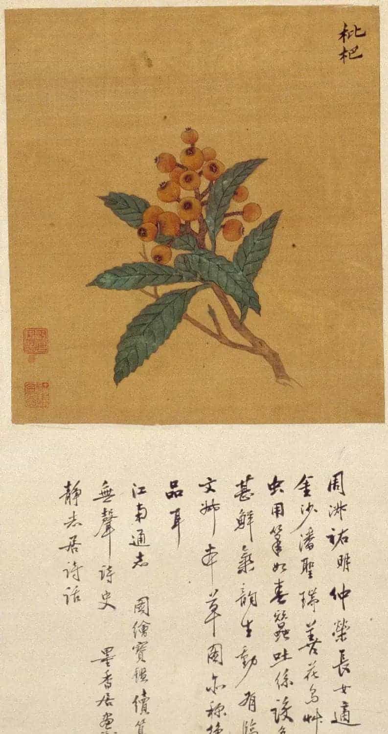 周淑禧、周淑祜两姐妹小楷《本草图》四条屏_第8张