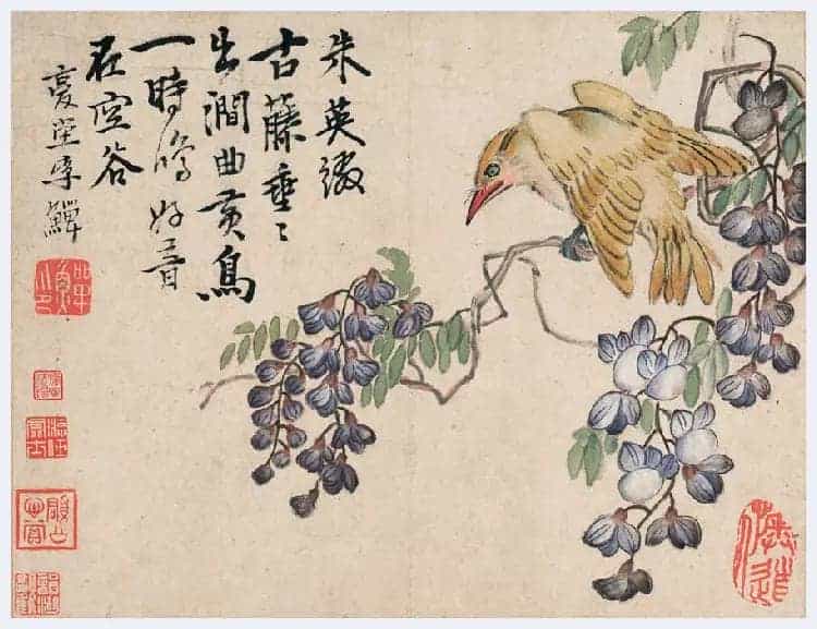 李鱓花鸟册页欣赏_第17张