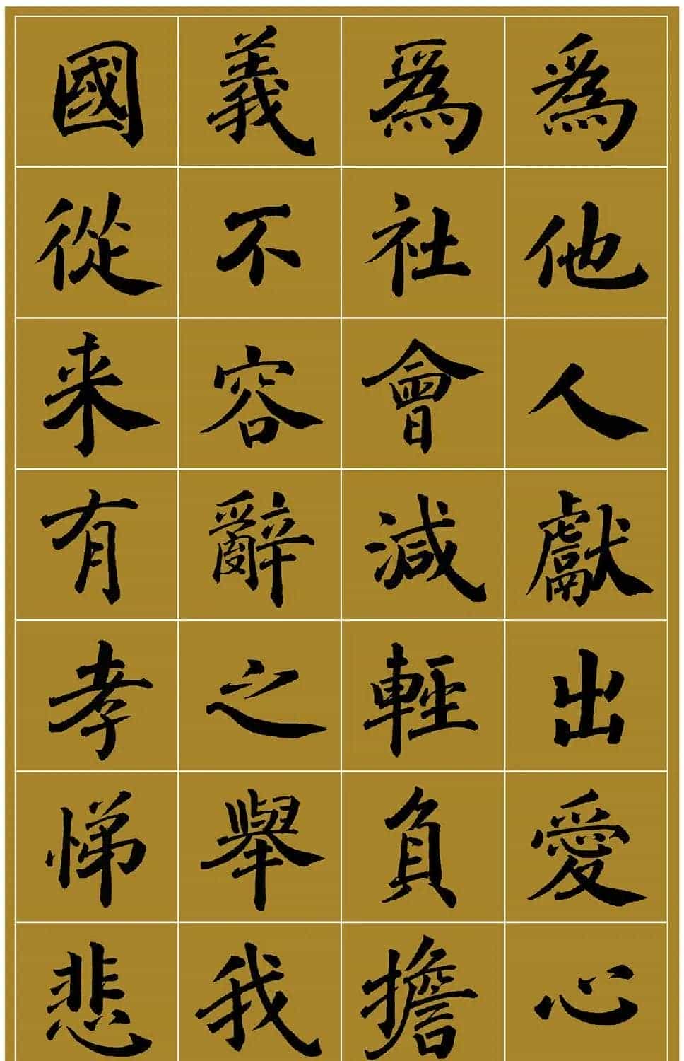 范笑歌楷书《中国少儿先心病基金宣讲辞》_第5张