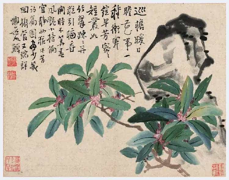 李鱓花鸟册页欣赏_第18张