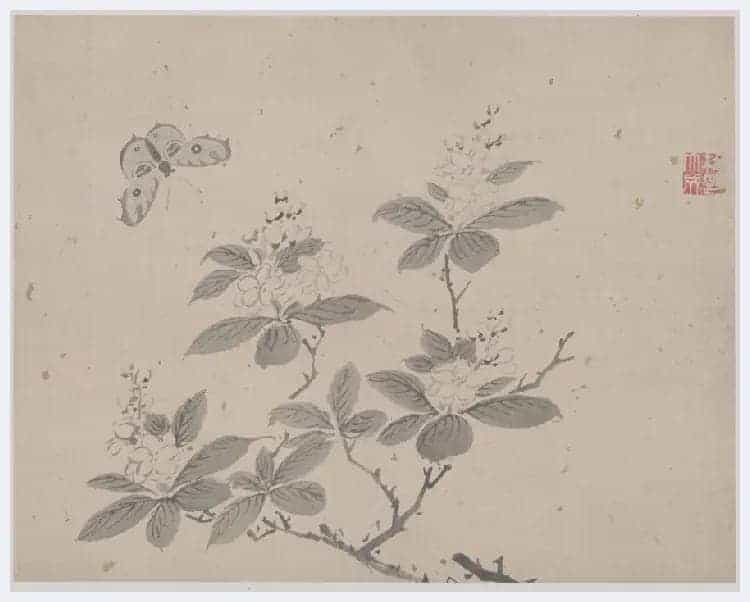 杜大成《花卉草虫图册》图赏_第4张