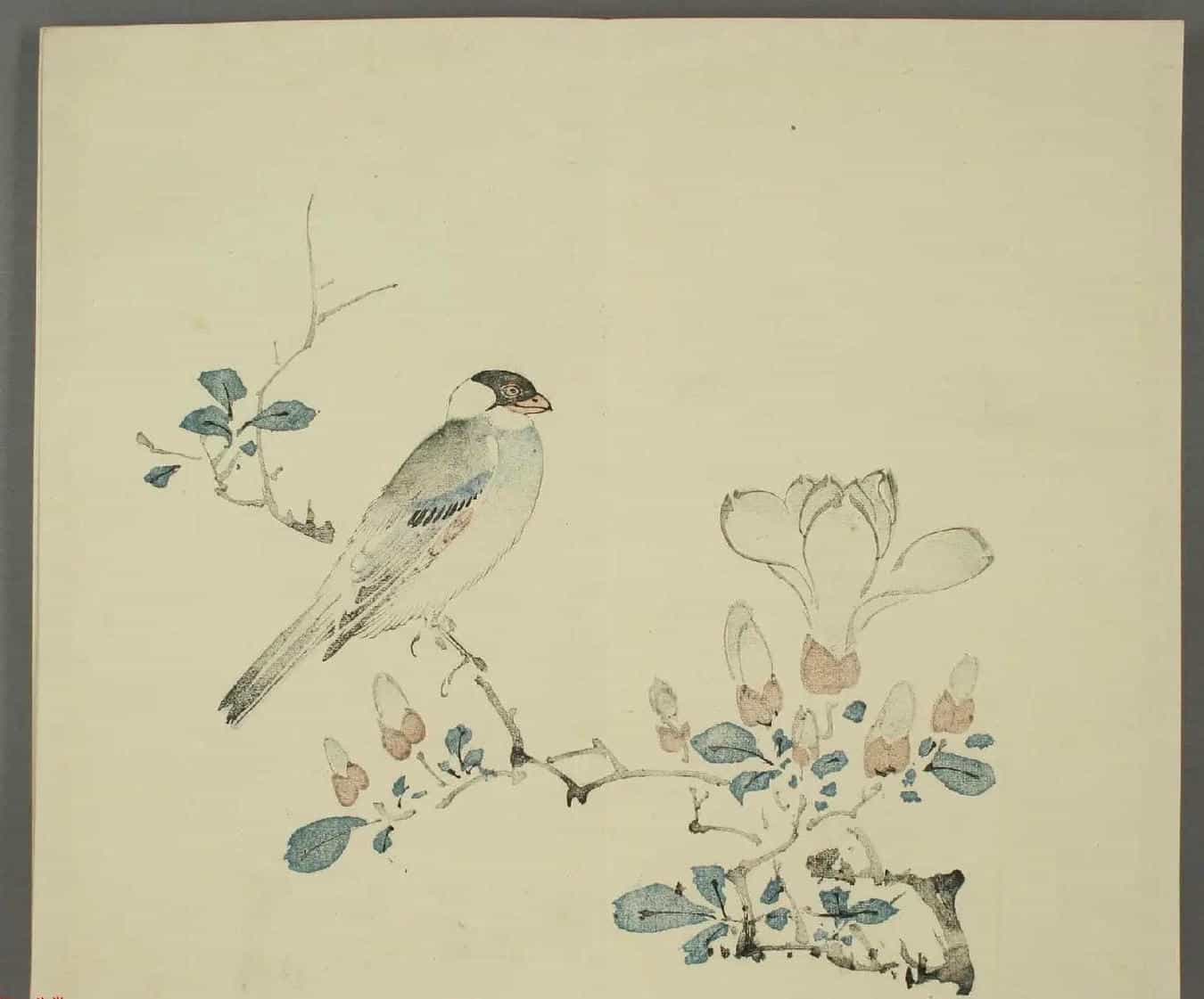 日本竹洞花鸟画欣赏《融斋画谱》_第9张