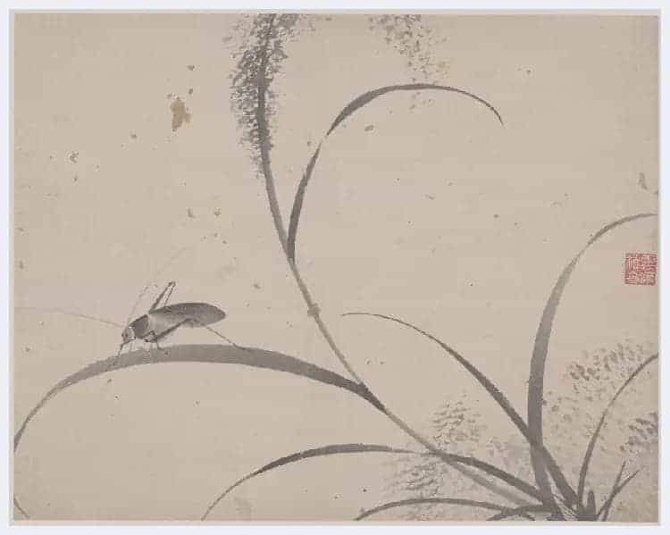 杜大成《花卉草虫图册》图赏_第7张