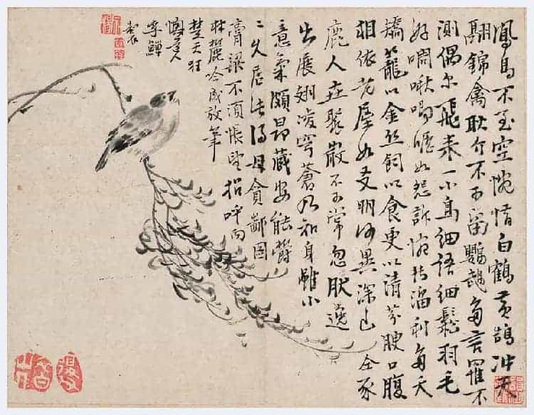 李鱓花鸟册页欣赏_第15张