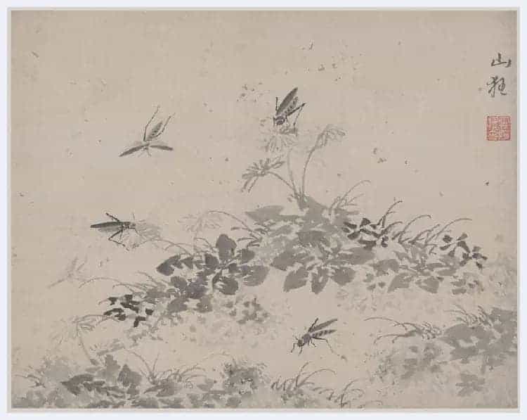 杜大成《花卉草虫图册》图赏_第10张