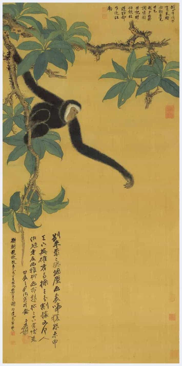 谢稚柳作品欣赏_第32张
