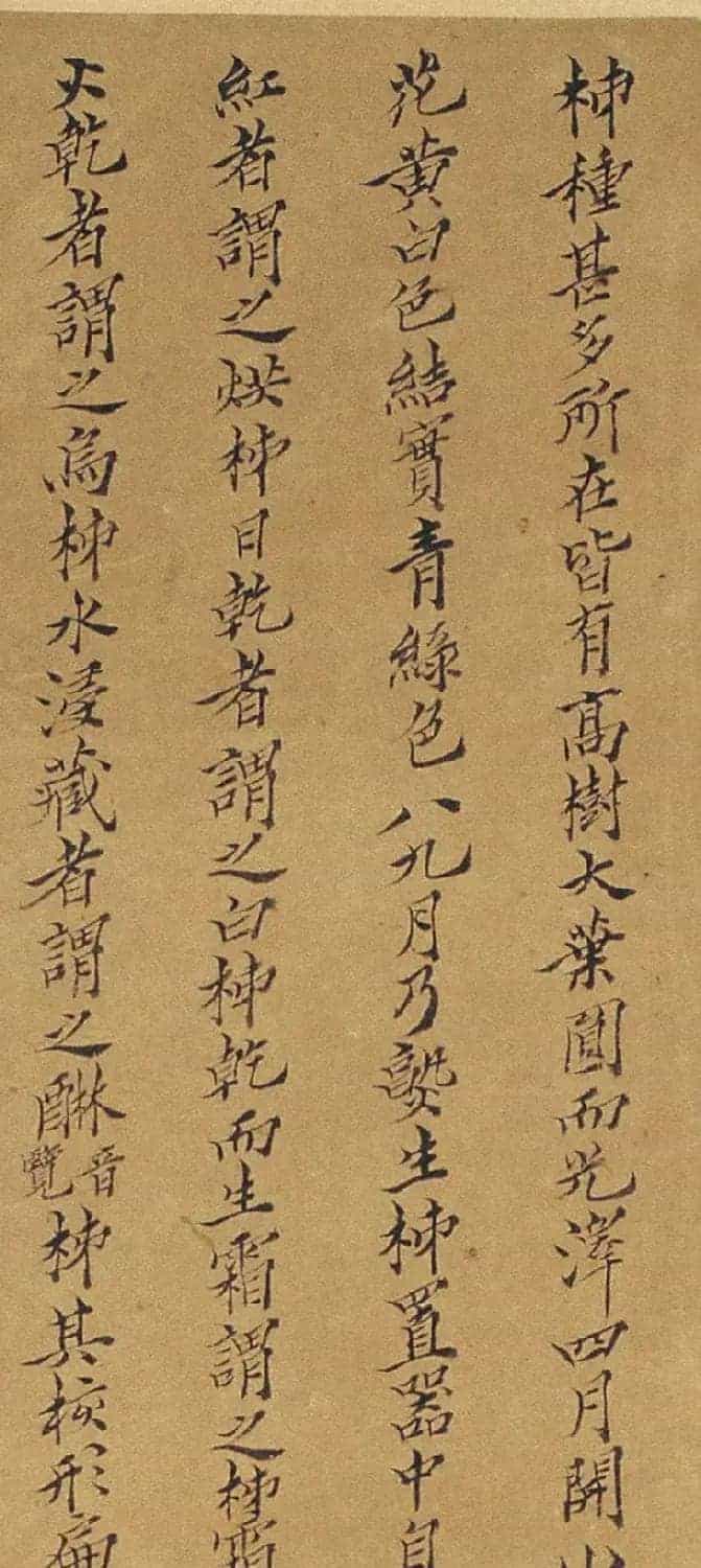 周淑禧、周淑祜两姐妹小楷《本草图》四条屏_第13张