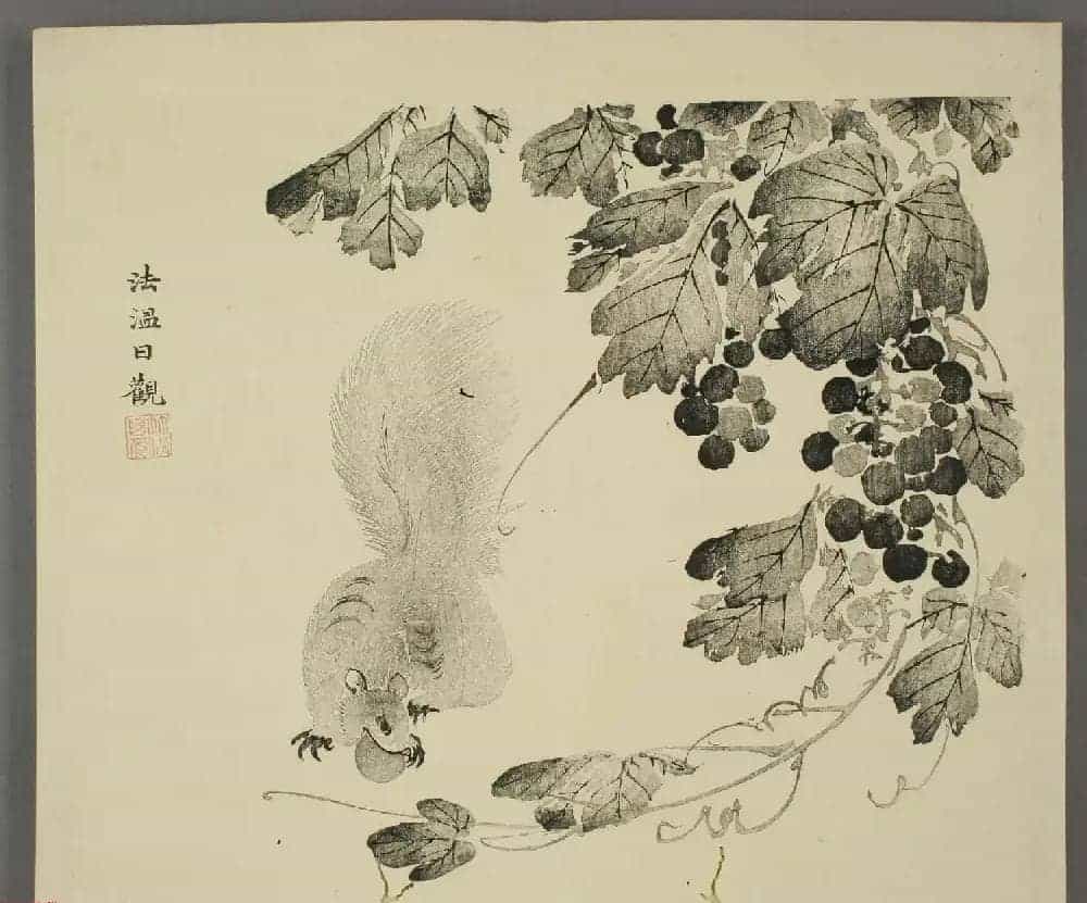 日本竹洞花鸟画欣赏《融斋画谱》_第23张