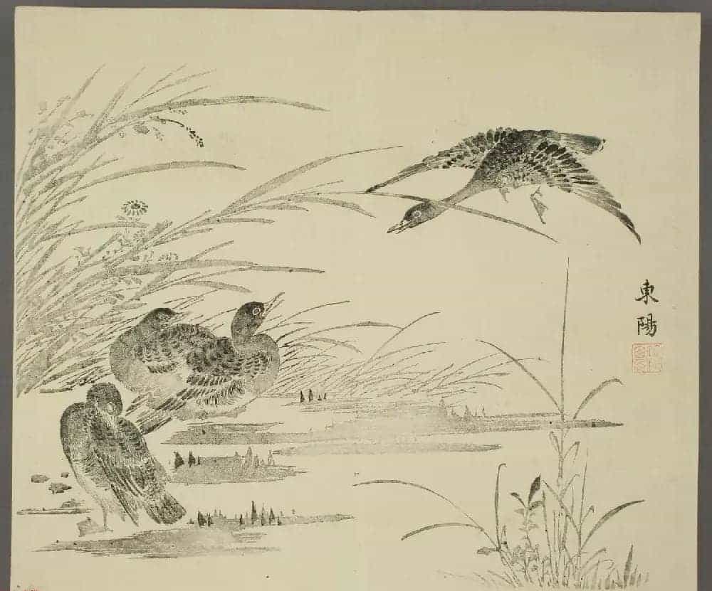 日本竹洞花鸟画欣赏《融斋画谱》_第13张