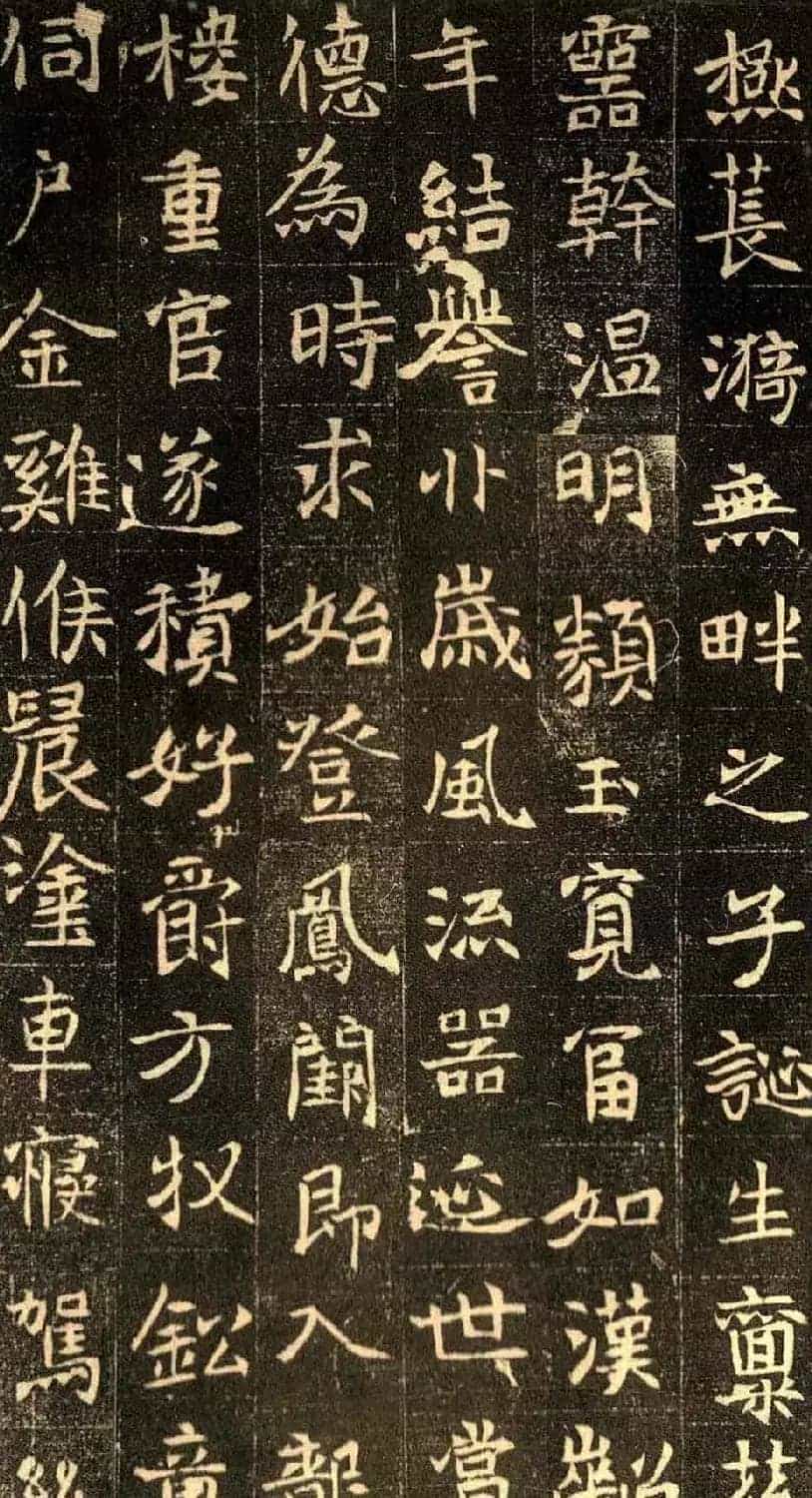魏碑佳作正书欣赏《元仙墓志》_第9张